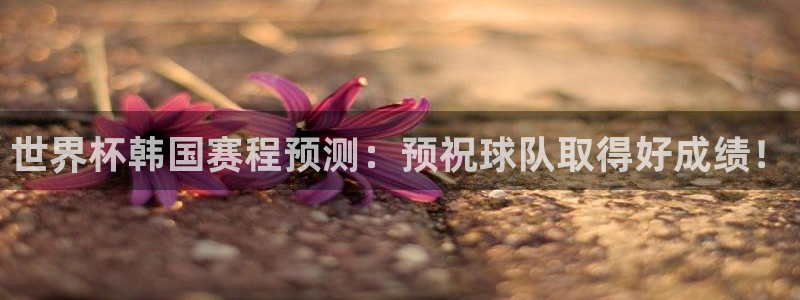 世界杯预选赛亚洲区赛程：世界杯韩国赛程预测：预祝球队取得好成绩！