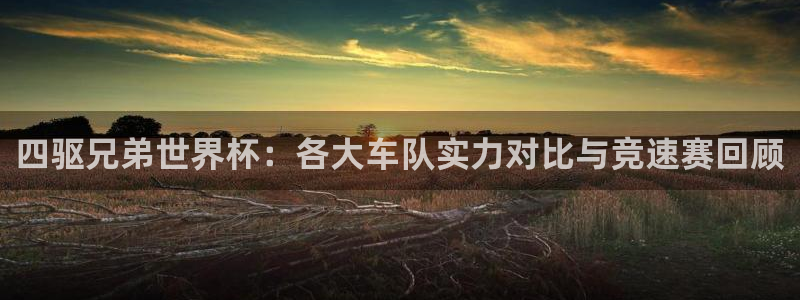 2026世界杯亚洲预选赛赛程：四驱兄弟世界杯：各大车队实力对比与竞速赛回顾