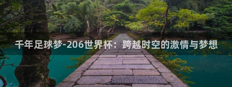 世界杯球队：千年足球梦-206世界杯：跨越时空的激情与梦想