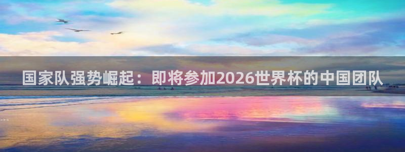 世界杯2026比赛时间表：国家队强势崛起：即将参加2026世界杯的中国团队