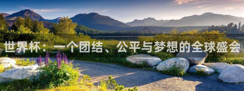 世界杯足球赛：世界杯：一个团结、公平与梦想的全球盛会