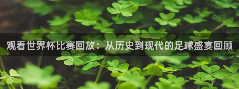 世界杯欧洲预选赛：观看世界杯比赛回放：从历史到现代的足球盛宴回顾