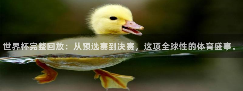 世界杯转播表：世界杯完整回放：从预选赛到决赛，这项全球性的体育盛事。