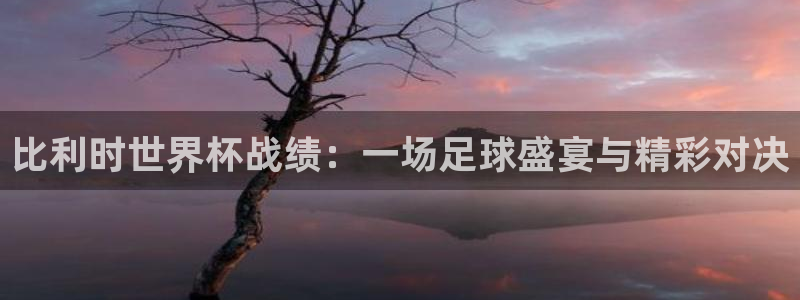 世界杯官网：比利时世界杯战绩：一场足球盛宴与精彩对决