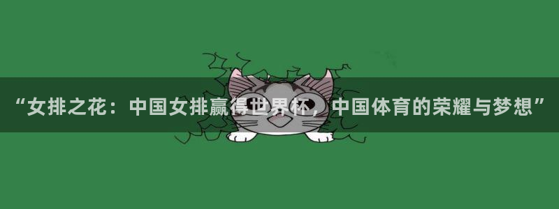 2026年世界杯对阵图：“女排之花：中国女排赢得世界杯，中国体育的荣耀与梦想”