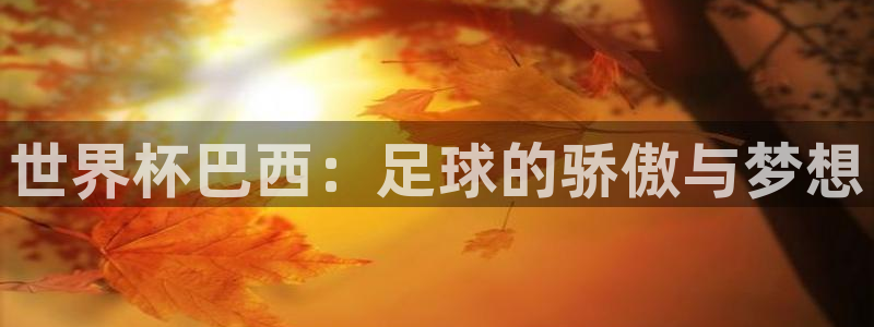 世界杯预选赛排名：世界杯巴西：足球的骄傲与梦想