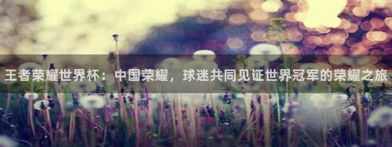 2026世界杯买球：王者荣耀世界杯：中国荣耀，球迷共同见证世界冠军的荣耀之旅