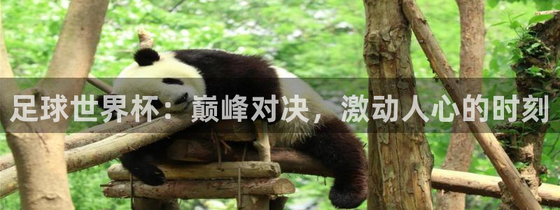 世界杯足球直播：足球世界杯：巅峰对决，激动人心的时刻
