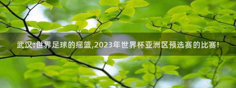 世预赛赛程表：武汉:世界足球的摇篮,2023年世界杯亚洲区预选赛的比赛!