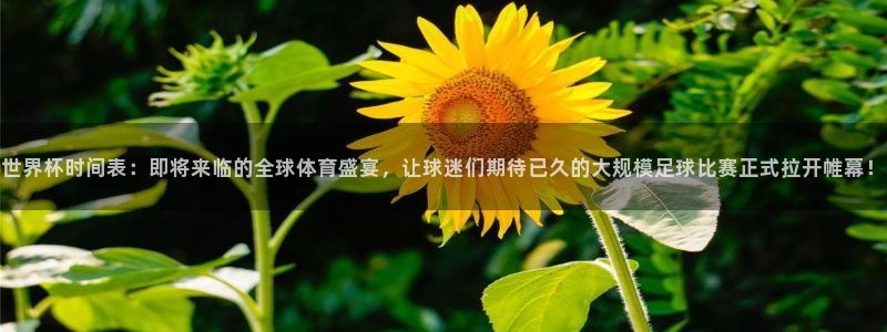 世界杯欧洲预选赛赛程：世界杯时间表：即将来临的全球体育盛宴，让球迷们期待已久的大规模足球比赛正式拉开帷幕！
